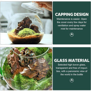 Micro Landscape Glass Bottle With Lid