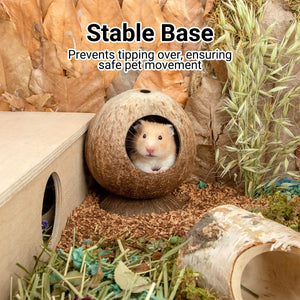 Coconut Hamster Cage Natural Hideout for Small Pets