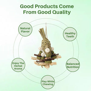 Small Pet Chew Toy Apple Branch & Carrot Cake Molar Treat for Rabbits & Hamsters