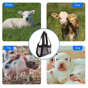 Durable Hanging Animal Weighing Sling for Lambs Goats Calves