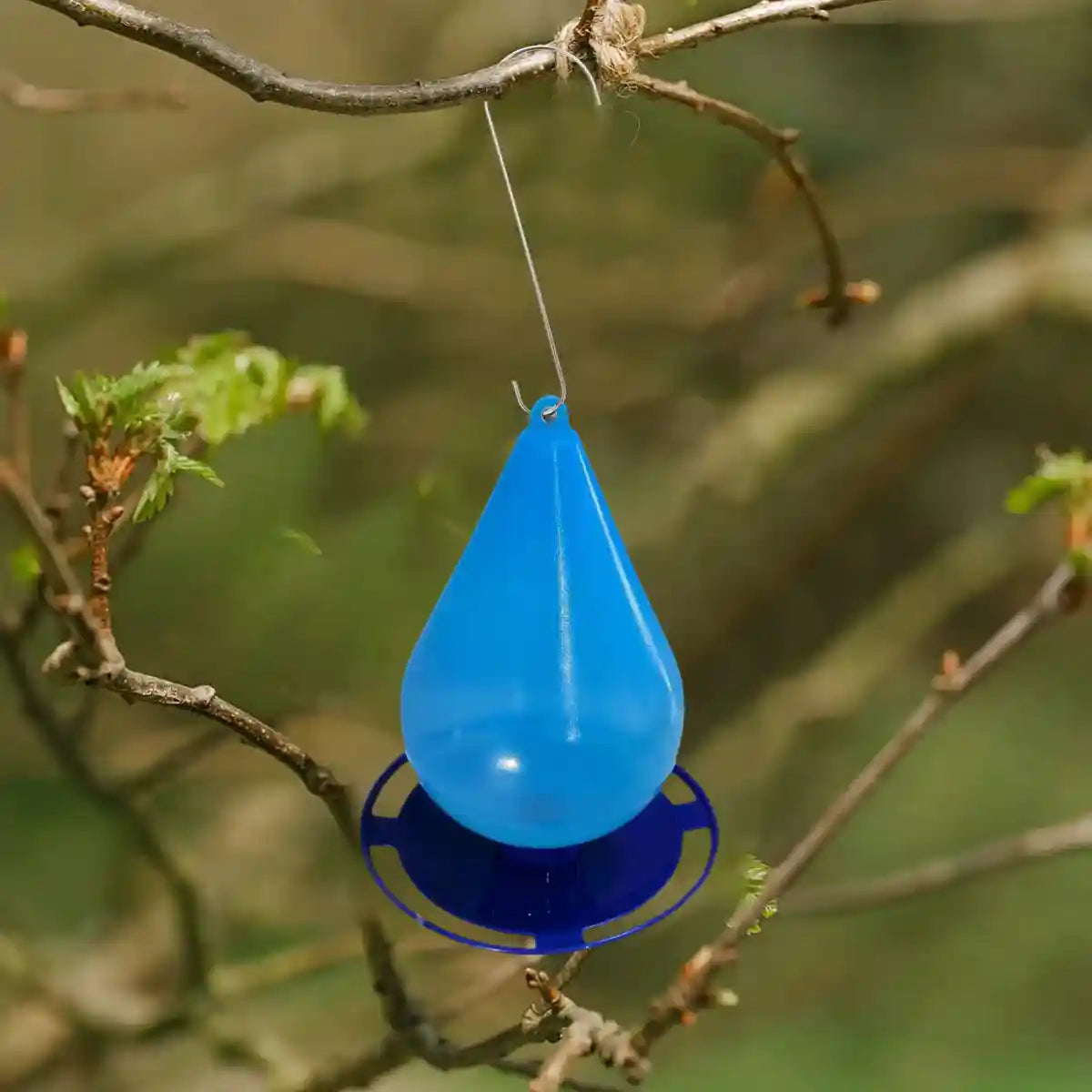 Versatile Hanging Bird Feeder for Yard Durable & Easy to Clean