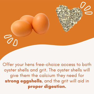 Hanging Chicken Feeder Automatic Refill Chicken Feeder for Hens Poultry Farm