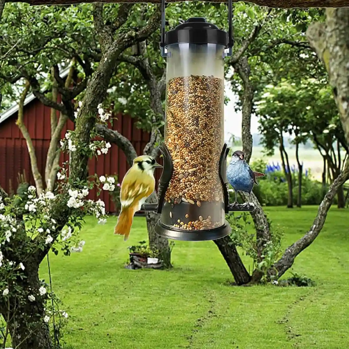 Hanging Bird Feeder With Transparent Seed Hopper