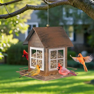 Hanging Metal Bird Feeder – Weatherproof Outdoor Bird Seed Feeder