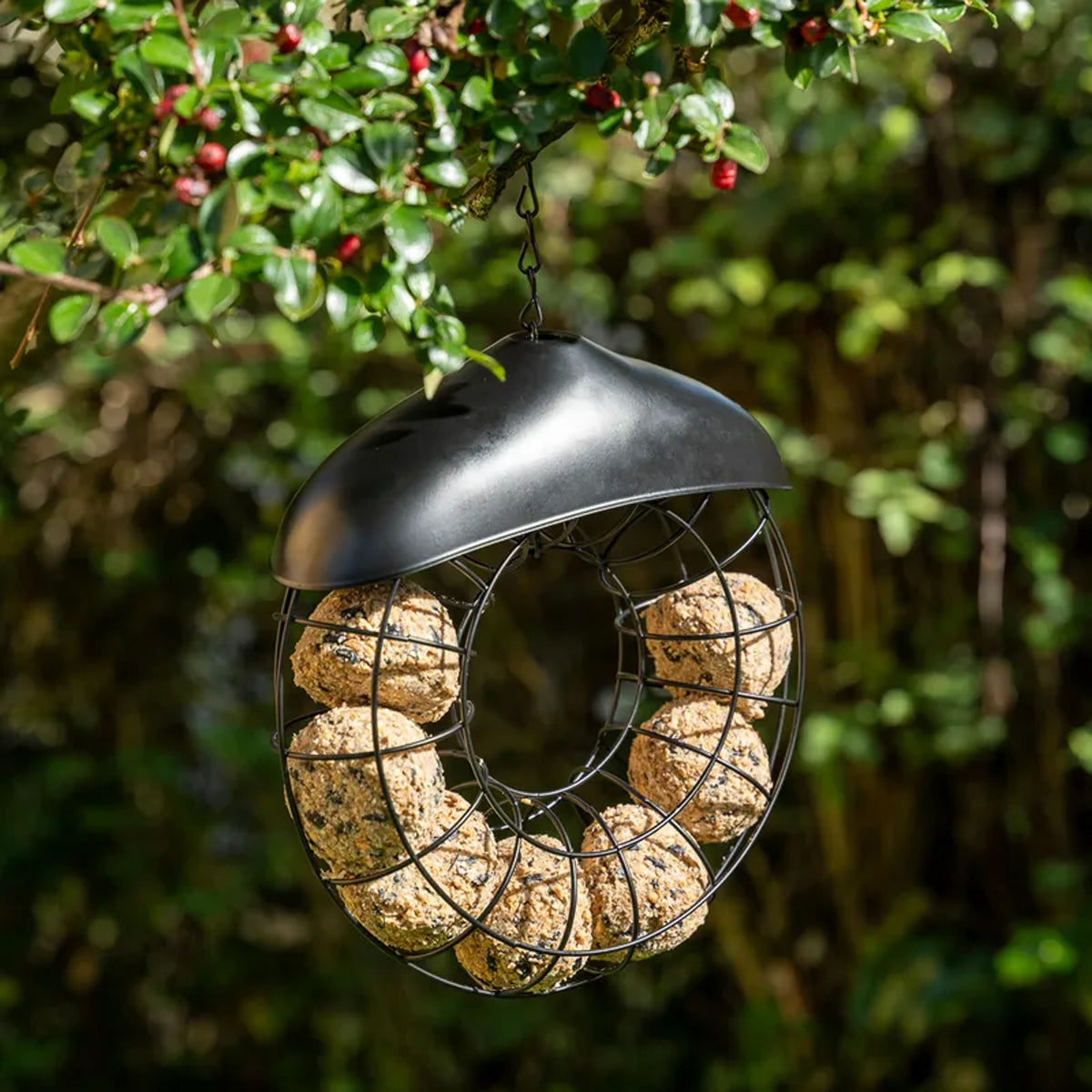Hanging Metal Suet Bird Feeder With Roof