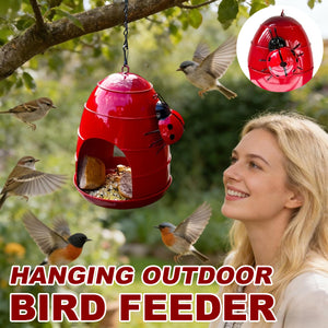 Hanging Outdoor Bird Feeder With Ladybug Design