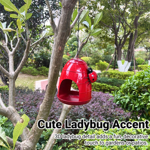 Hanging Outdoor Bird Feeder With Ladybug Design
