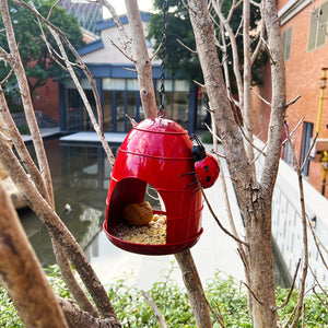 Hanging Outdoor Bird Feeder With Ladybug Design
