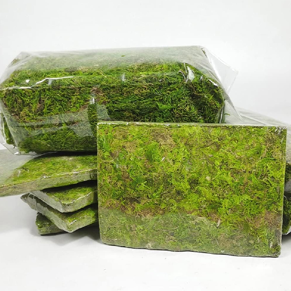 150g Compressed Natural Moss Mat Substrate