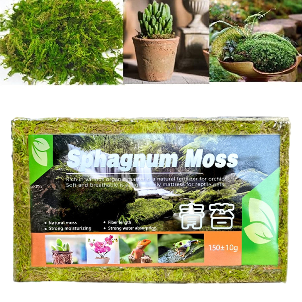 150g Compressed Natural Moss Mat Substrate
