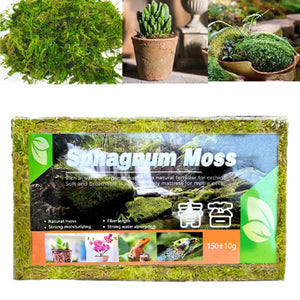 150g Compressed Natural Moss Mat Substrate