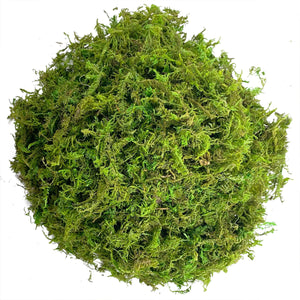 150g Compressed Natural Moss Mat Substrate
