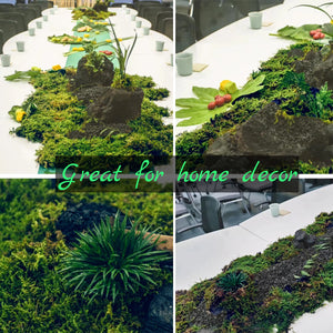 150g Compressed Natural Moss Mat Substrate