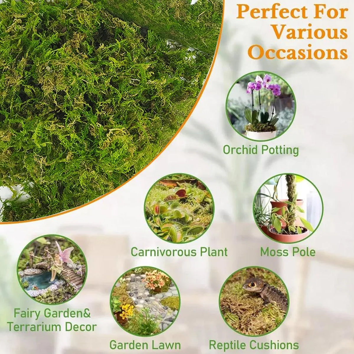 150g Compressed Natural Moss Mat Substrate