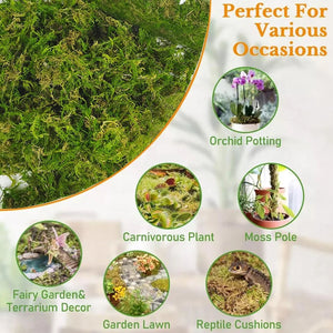 150g Compressed Natural Moss Mat Substrate