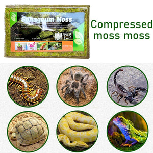 150g Compressed Natural Moss Mat Substrate