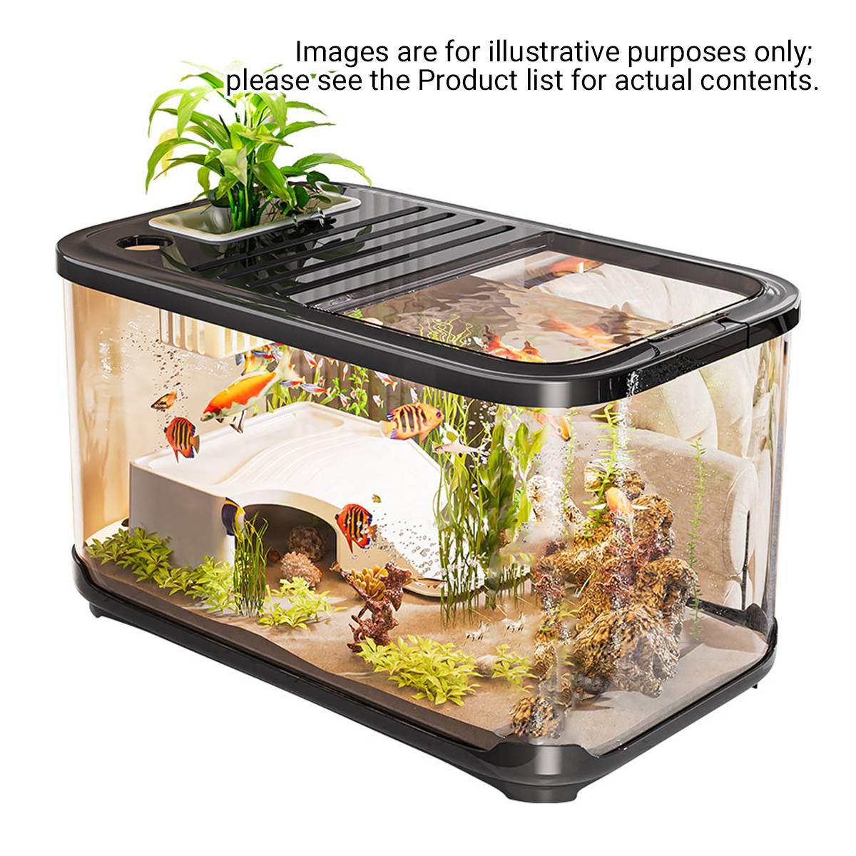High Definition Fish Tank With Panoramic Viewing