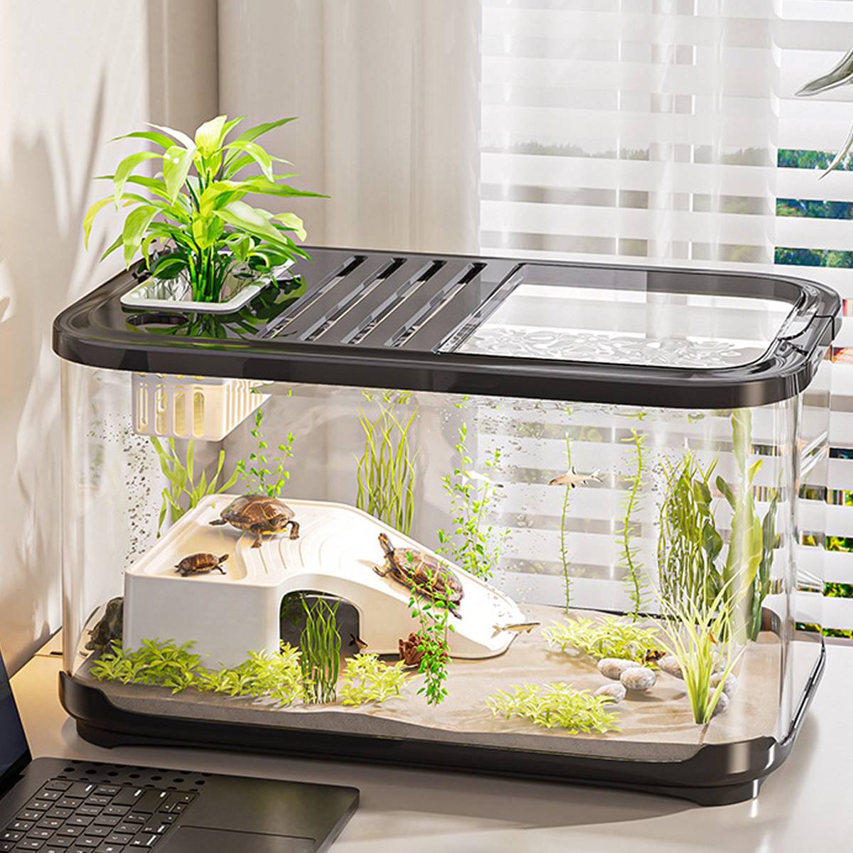 High Definition Fish Tank With Panoramic Viewing
