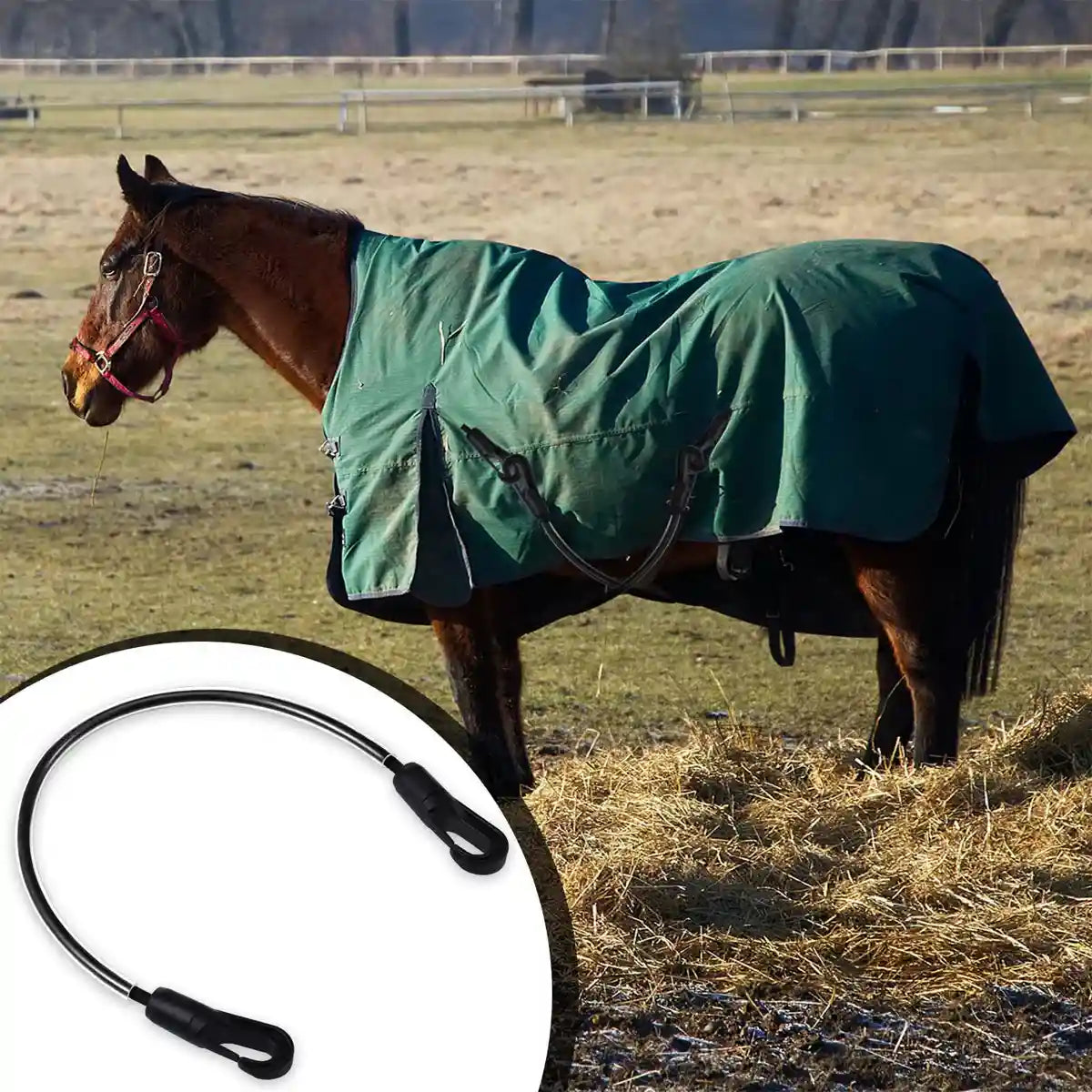 Horse Blanket Straps Elastic Double Clip Set With Storage Bag