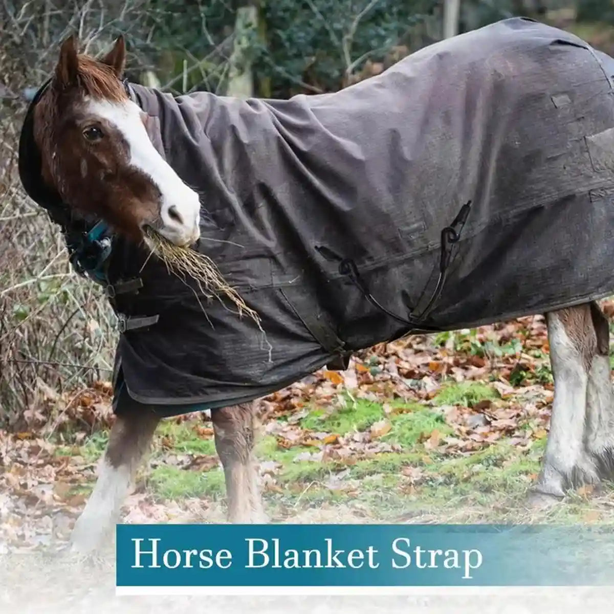 Horse Blanket Straps Elastic Double Clip Set With Storage Bag
