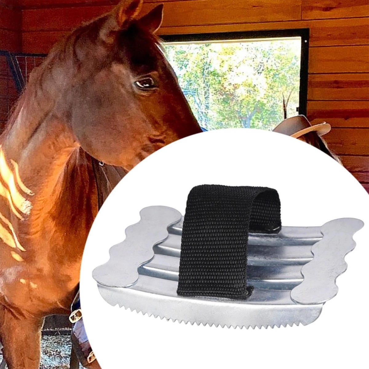 Metal Horse Curry Comb with Hand Strap, Shedding Grooming Scraper