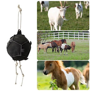 Interactive Carrot Training Feeding Grab Ball Black Interactive Toy Horse Supplies