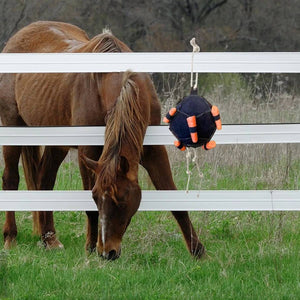 Interactive Carrot Training Feeding Grab Ball Black Interactive Toy Horse Supplies
