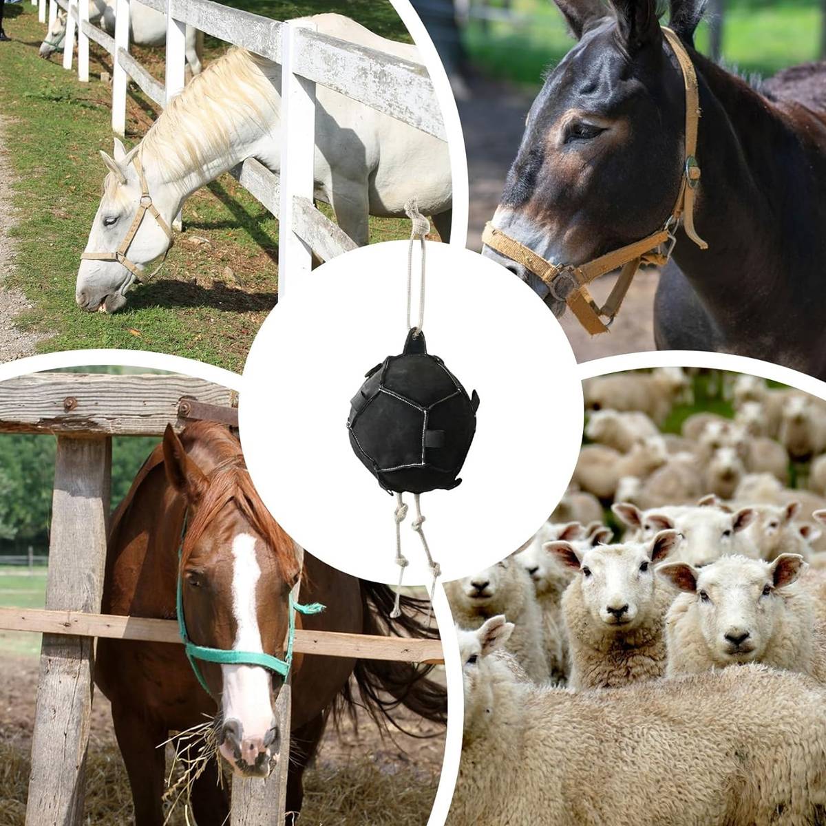 Interactive Carrot Training Feeding Grab Ball Black Interactive Toy Horse Supplies