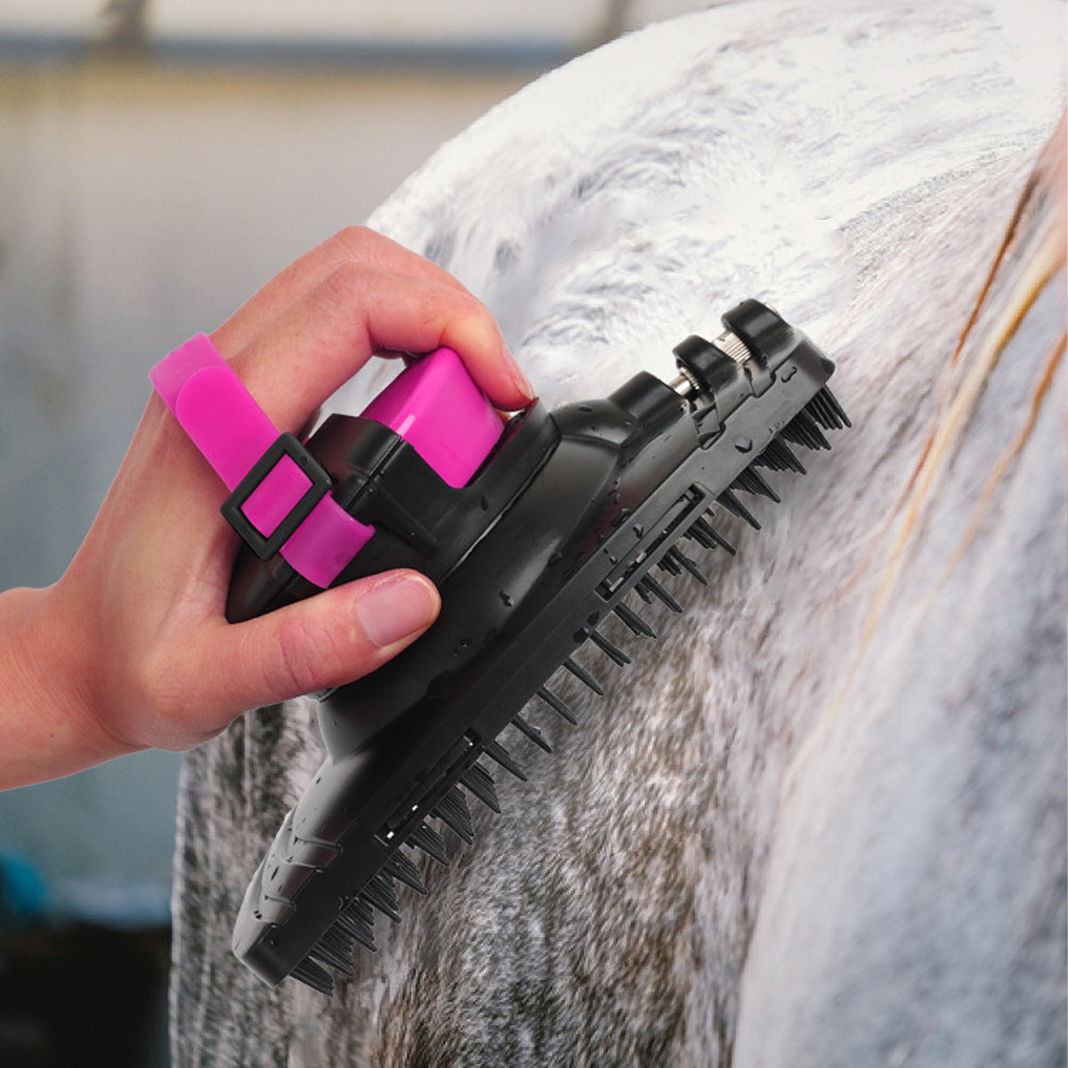 Grooming Made Easy with Spray-Equipped Horse Brush