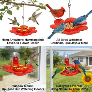 Red 2 in 1 Hanging Bird Feeder with Suction Cup