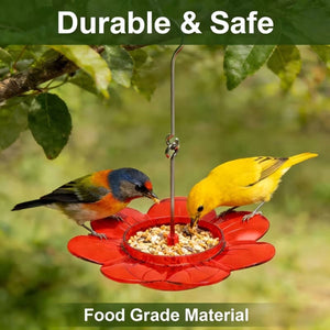 Red 2 in 1 Hanging Bird Feeder with Suction Cup