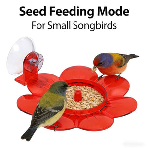 Red 2 in 1 Hanging Bird Feeder with Suction Cup