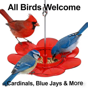Red 2 in 1 Hanging Bird Feeder with Suction Cup