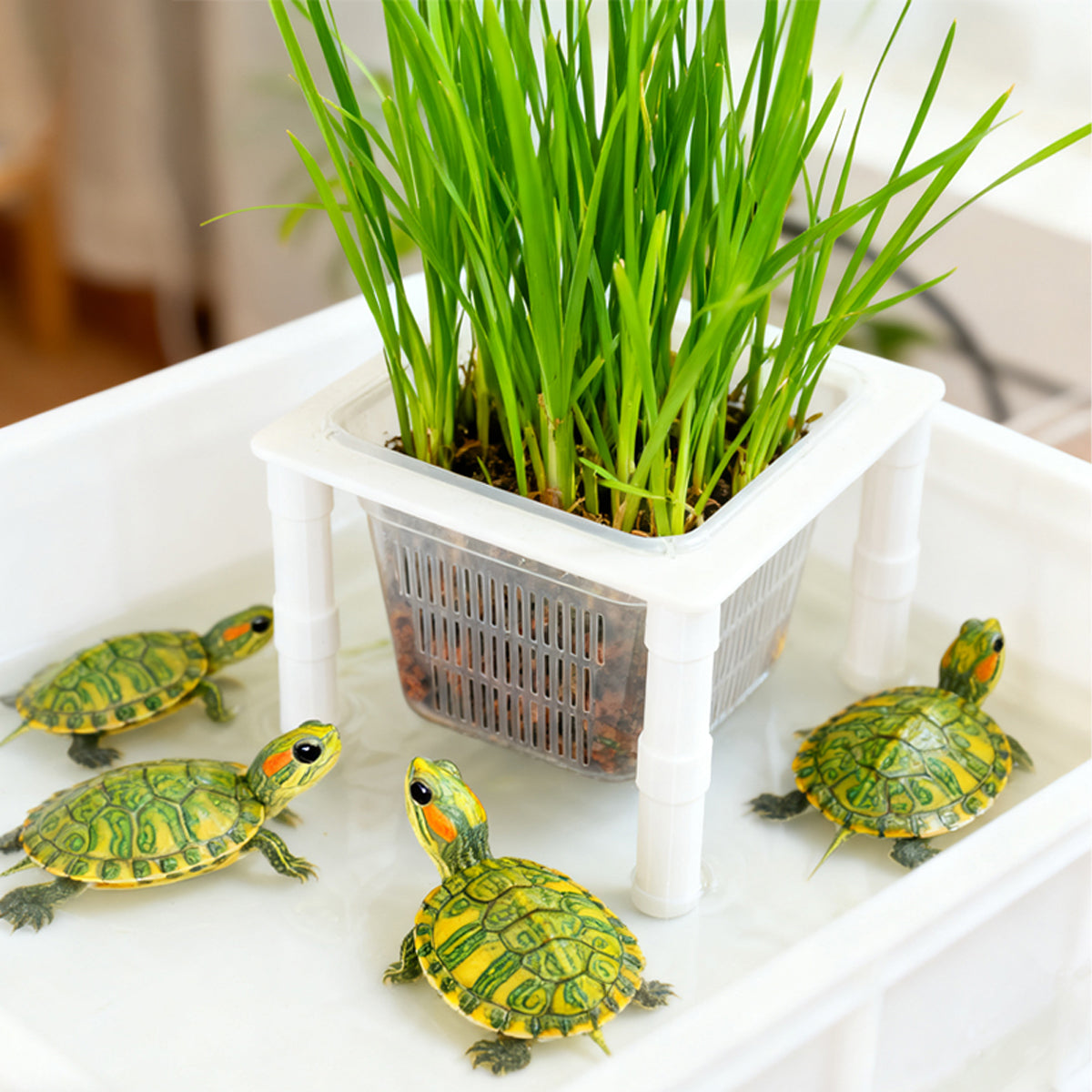 Aquarium Hydroponic Planting Basket Aquatic Plant Holder