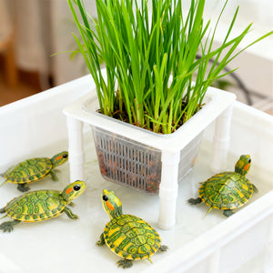 Aquarium Hydroponic Planting Basket Aquatic Plant Holder