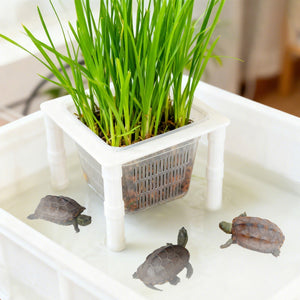 Aquarium Hydroponic Planting Basket Aquatic Plant Holder