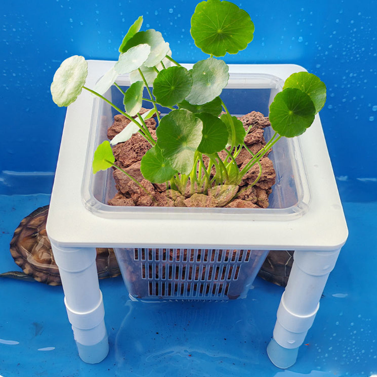 Aquarium Hydroponic Planting Basket Aquatic Plant Holder