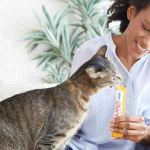 INABA Churu Tuna Variety Box Cat Treats 20*14g