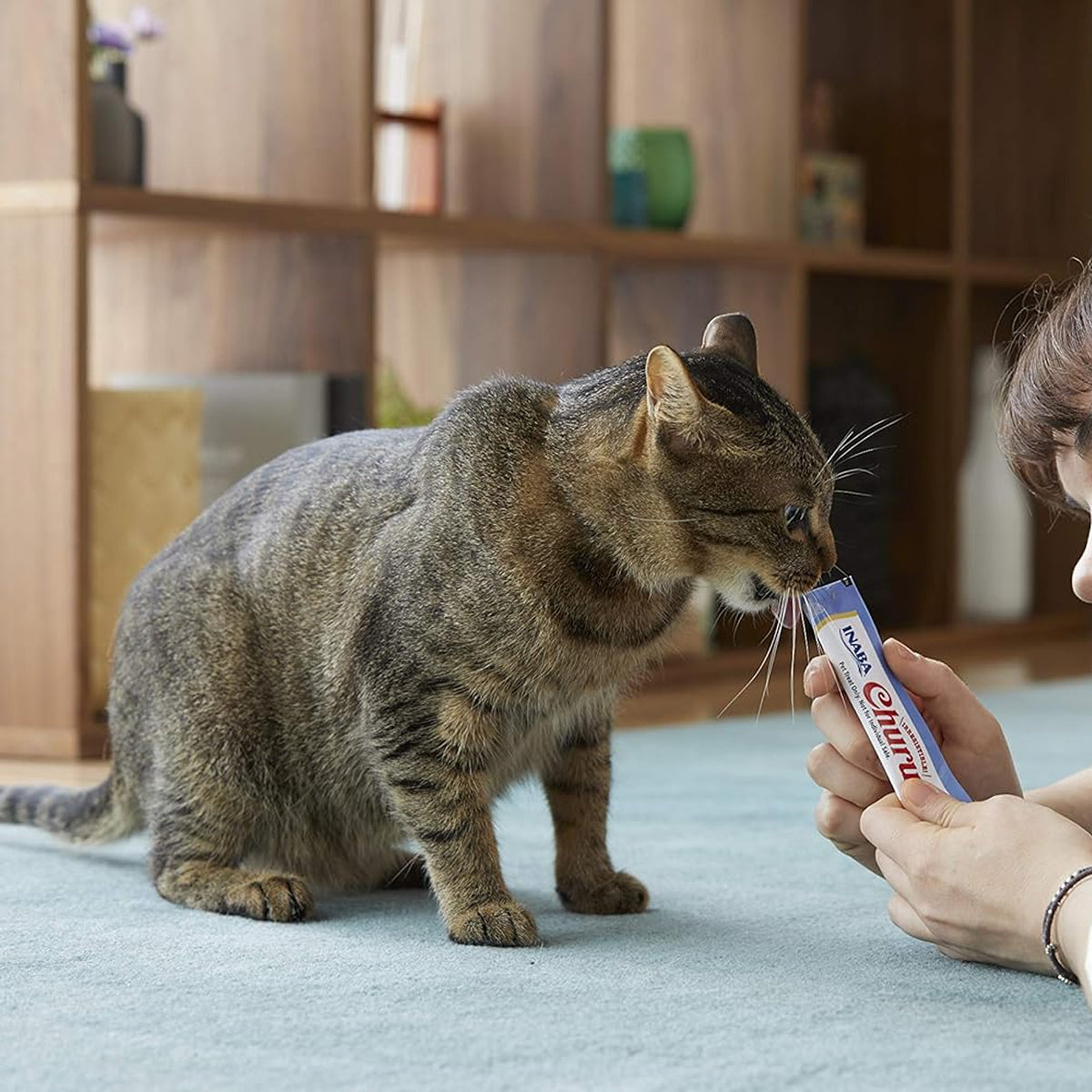 INABA Churu Tuna Variety Box Cat Treats 20*14g