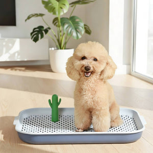 Dog Training Toilet Tray With Mesh And Post