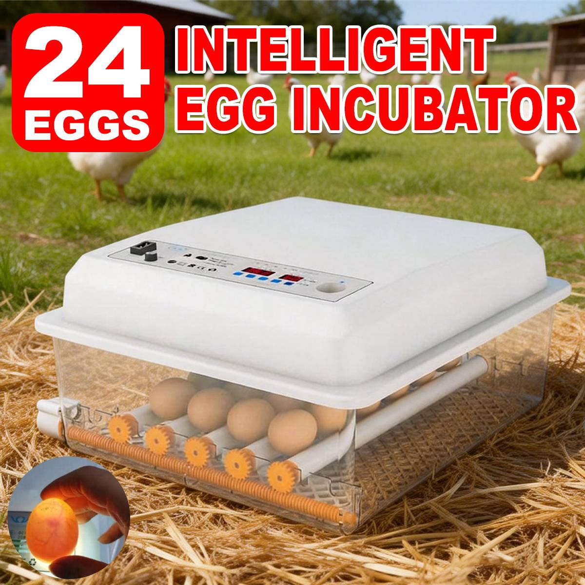 24 Eggs Intelligent Egg Incubator With Automatic Turning