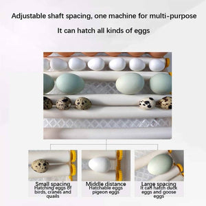 24 Eggs Intelligent Egg Incubator With Automatic Turning