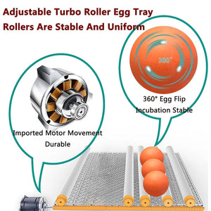 24 Eggs Intelligent Egg Incubator With Automatic Turning