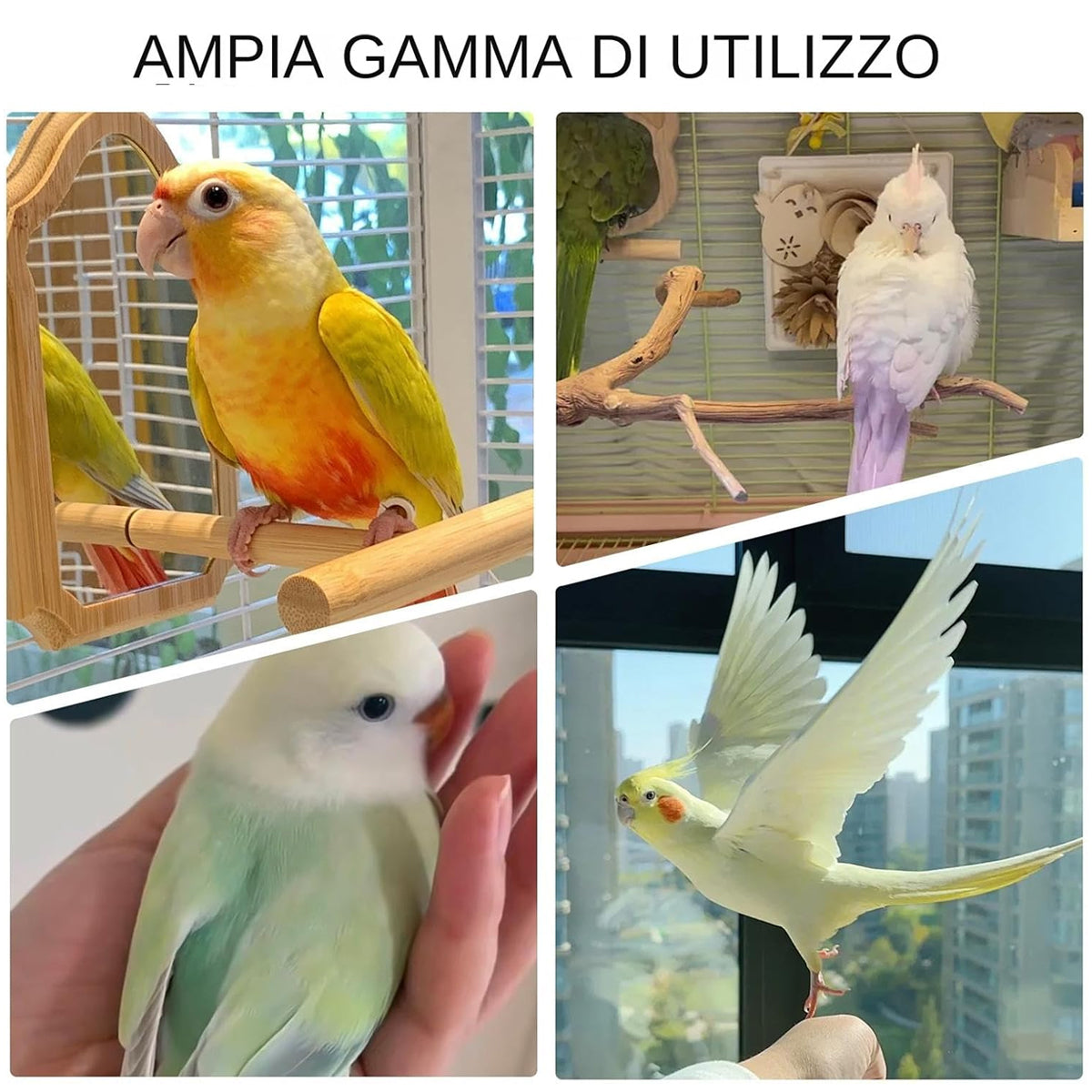 Parrot Interactive Seesaw Toy Wooden Bird Claw Grinding Toy