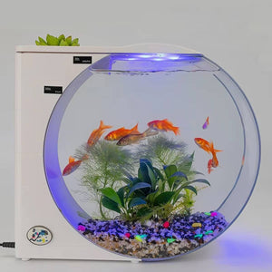 Jellyfish Aquarium 10L - LED Electronic Desktop Jelly Tank