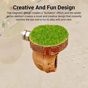 Magnetic Walnut Spider Hideout Natural Reptile Habitat Ornament