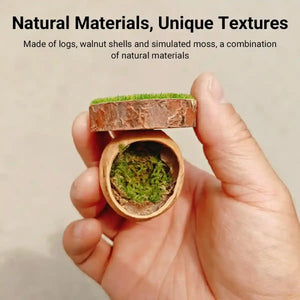 Magnetic Walnut Spider Hideout Natural Reptile Habitat Ornament