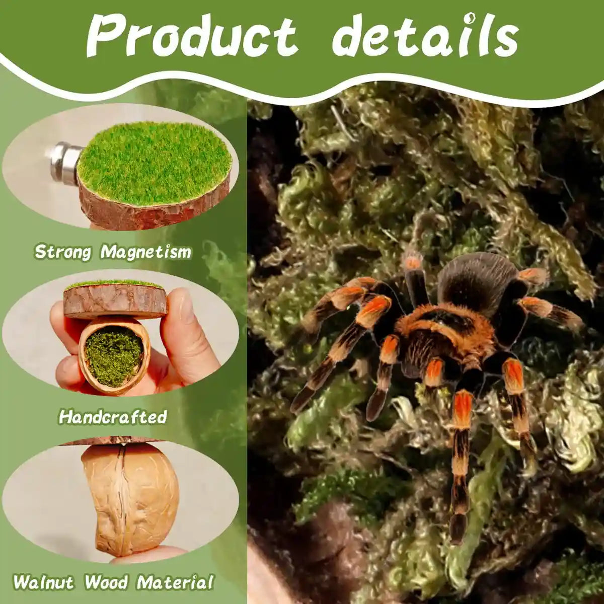 Magnetic Walnut Spider Hideout Natural Reptile Habitat Ornament