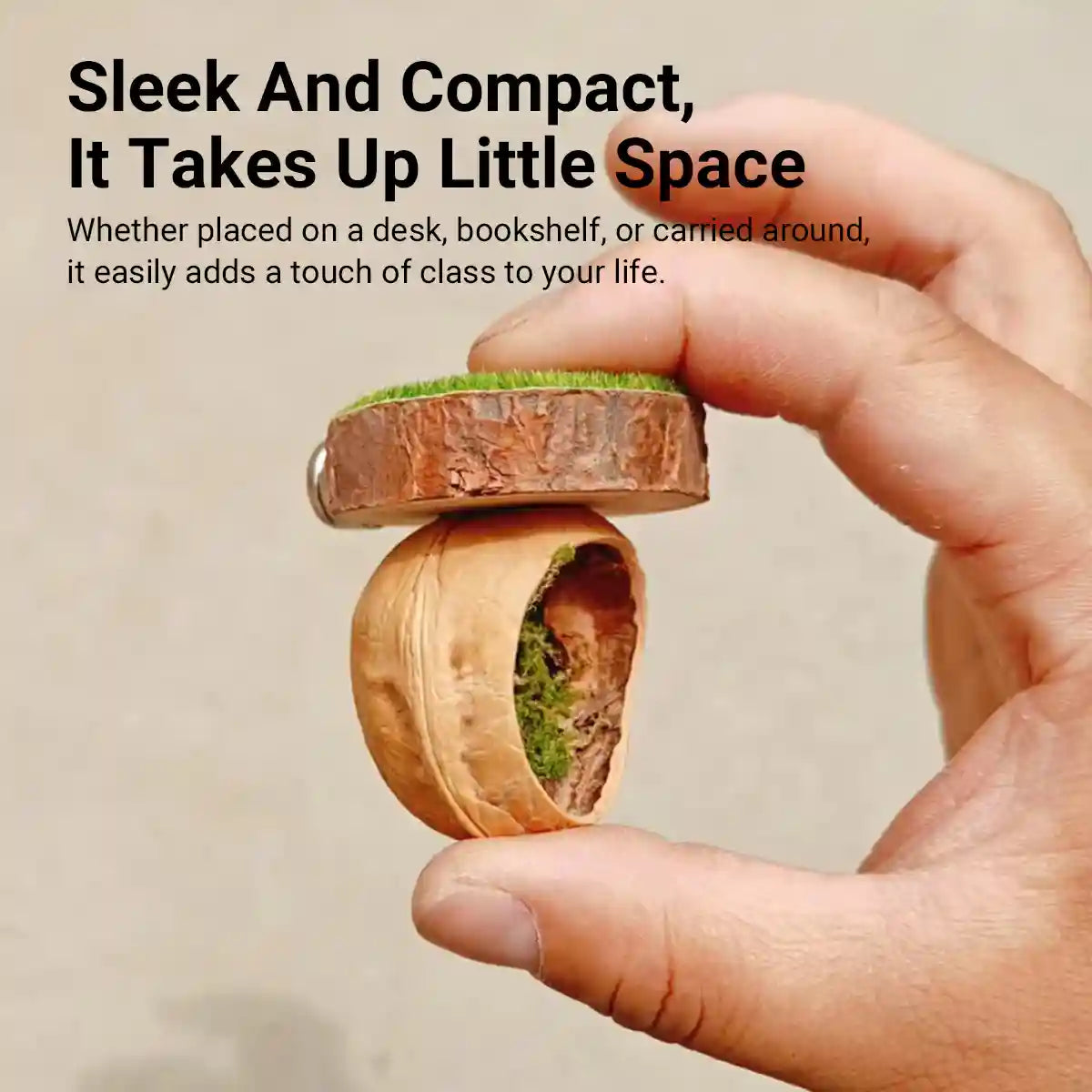 Magnetic Walnut Spider Hideout Natural Reptile Habitat Ornament