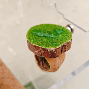 Magnetic Walnut Spider Hideout Natural Reptile Habitat Ornament